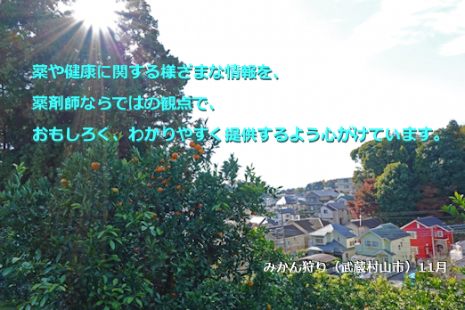 みかん狩り（武蔵村山市）11月